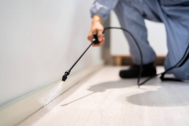 Licensed Pest Control service in Bayou Country Club, LA - Show Me Pest Control