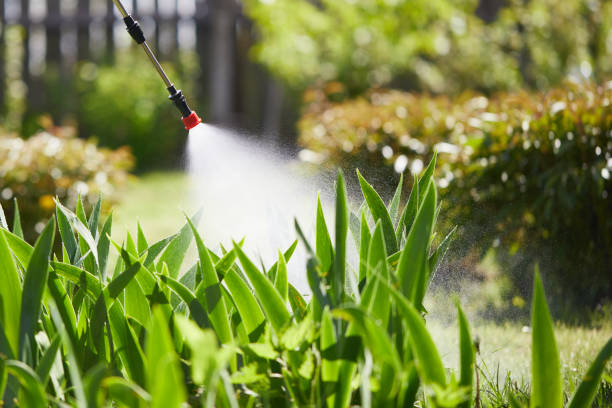 24/7 Emergency Wasp Removal experts in Bayou Country Club, LA