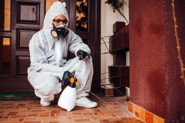 Reliable Wasp Removal contractor in Bayou Country Club, LA by Show Me Pest Control